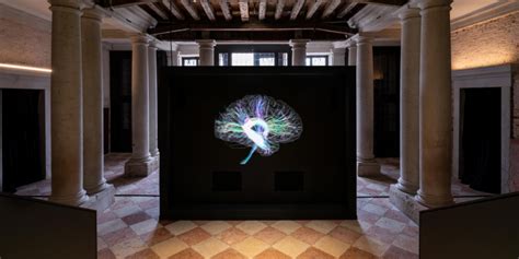 human brains venice 2022